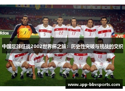 中国足球征战2002世界杯之旅：历史性突破与挑战的交织